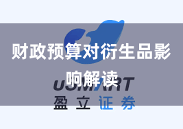 财政预算对衍生品影响解读